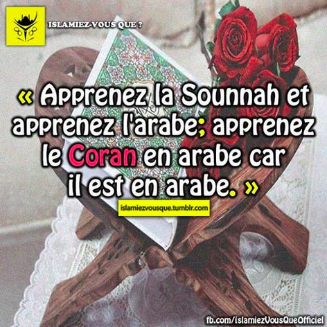 tumblr_inline_namg627JJF1rh718z