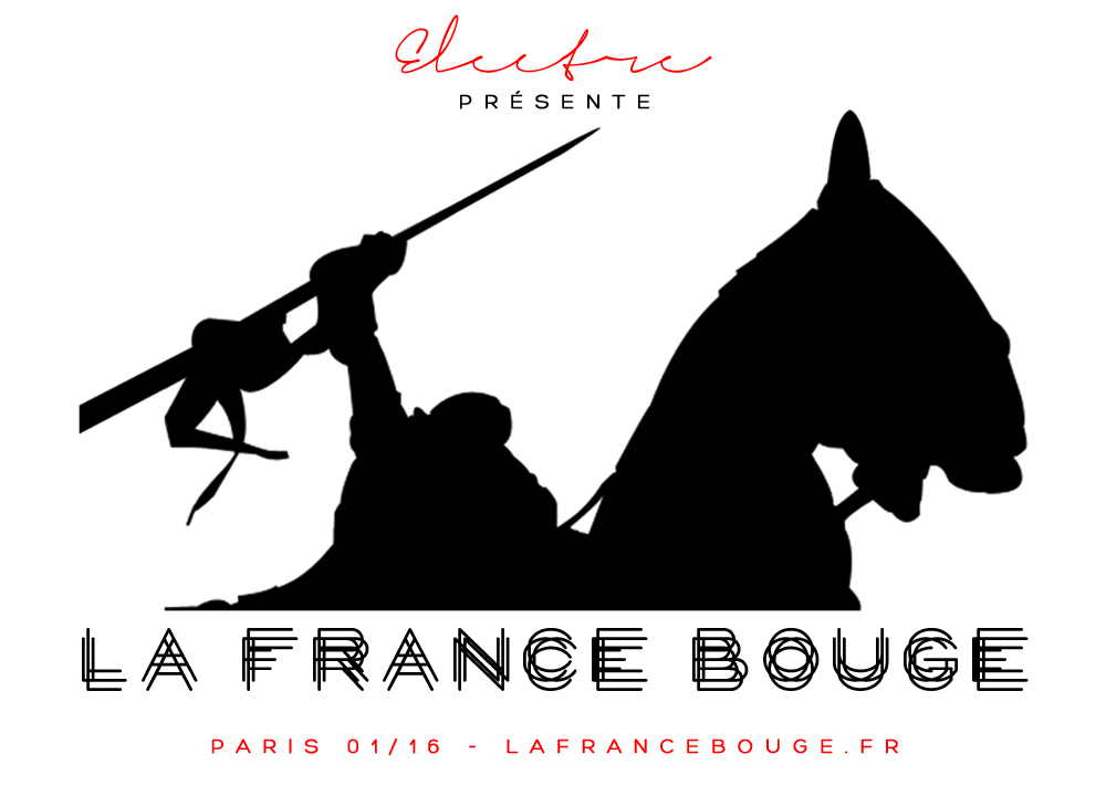 LaFranceBouge_Fly